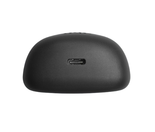 JBL Tune Flex